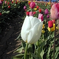 Stand Out